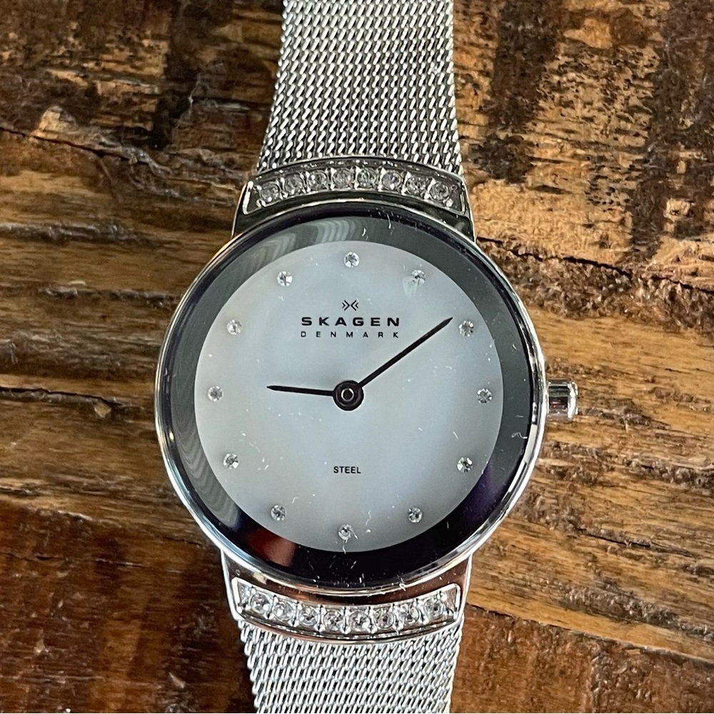 Skagen Stainless Ladies Watch